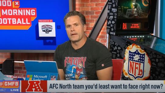 Steelers selected as most dangerous team in the AFC North
