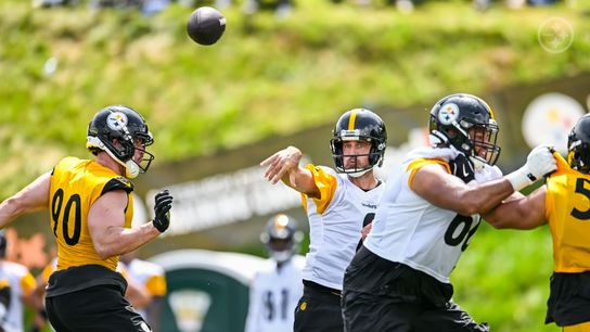 Steelers' Aaron Rodgers Seriously Questions TJ Watt's Achievements While Arguing The NFL Record Books. Photo by Alysa Rubin / Pittsburgh Steelers
