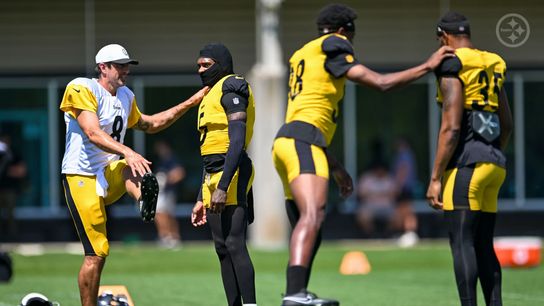 Steelers Fans Get Encouraging Message About Aaron Rodgers From New Addition: "He's Got All The Answers To The Test" (Steelers News)