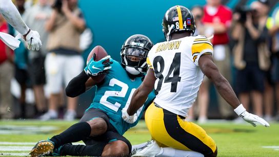 Pittsburgh Steeler Antonio Brown Pittsburgh Steeler Antonio Brown