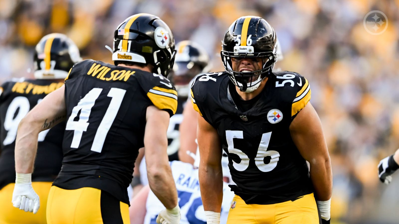 Steelers Defender Extremely Critical Of Unit Despite Stellar Performance Against The Colts (Steelers News). Photo by Karl Roser / Pittsburgh Steelers