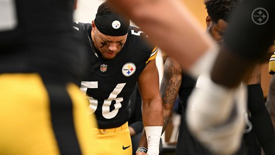 Steelers Get Devastating News As Team Will Be Without Star Defender For Extended Time (Steelers News)