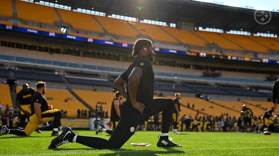 Steelers' Mike Tomlin Makes Suspicious Comment Regarding Injured Fan-Favorite Defender (Steelers News)