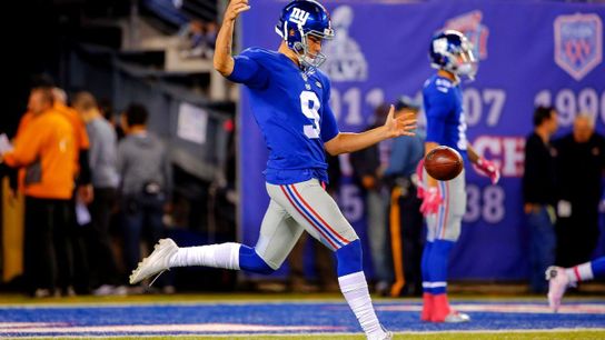 Steelers Brad Wing Steelers Brad Wing