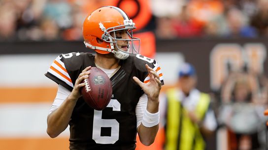 Steelers Brian Hoyer Steelers Brian Hoyer