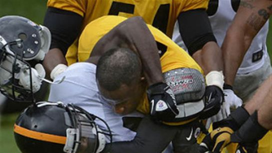 Pittsburgh Steelers Ike Taylor Antonio Brown Pittsburgh Steelers Ike Taylor Antonio Brown