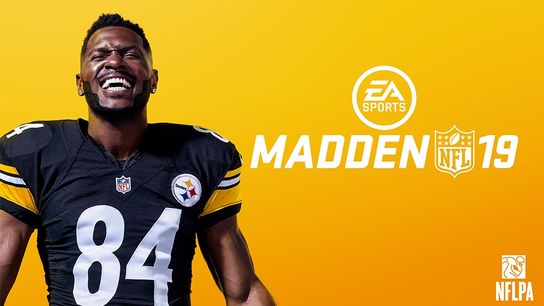 Steelers Antonio Brown Madden