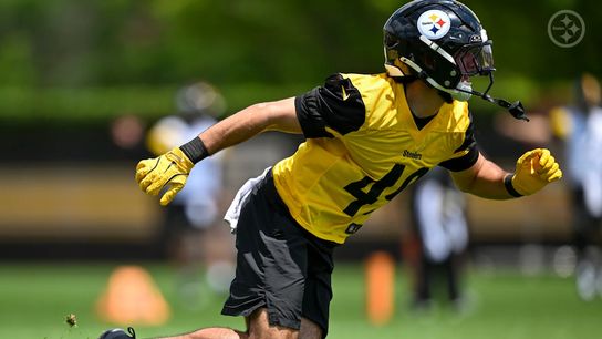 Some Steelers Players Put On Notice As 1 Player Is Determined To Steal 53-Man Roster Spot (Steelers News)