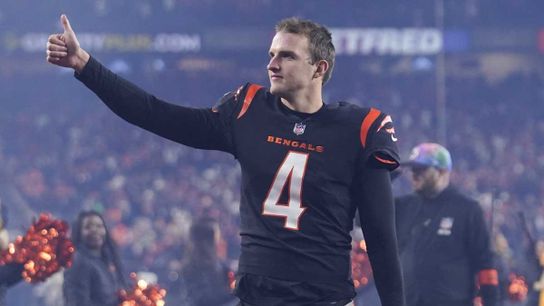 Steelers Considered Signing Former AFC North Rival To Fix Punting Problem (Steelers News)