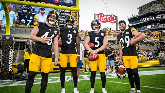 Steelers Add Pro Bowler After Disappointing Injury News. Photo by Karl Roser / Pittsburgh Steelers
