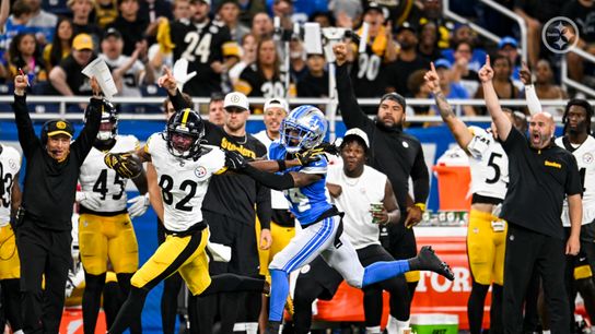 Steelers Dez Fitzpatrick Steelers Dez Fitzpatrick