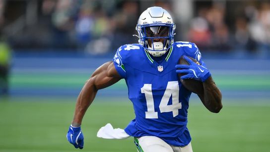 Steelers Insider Gives Caution To Fans About DK Metcalf (Steelers News)