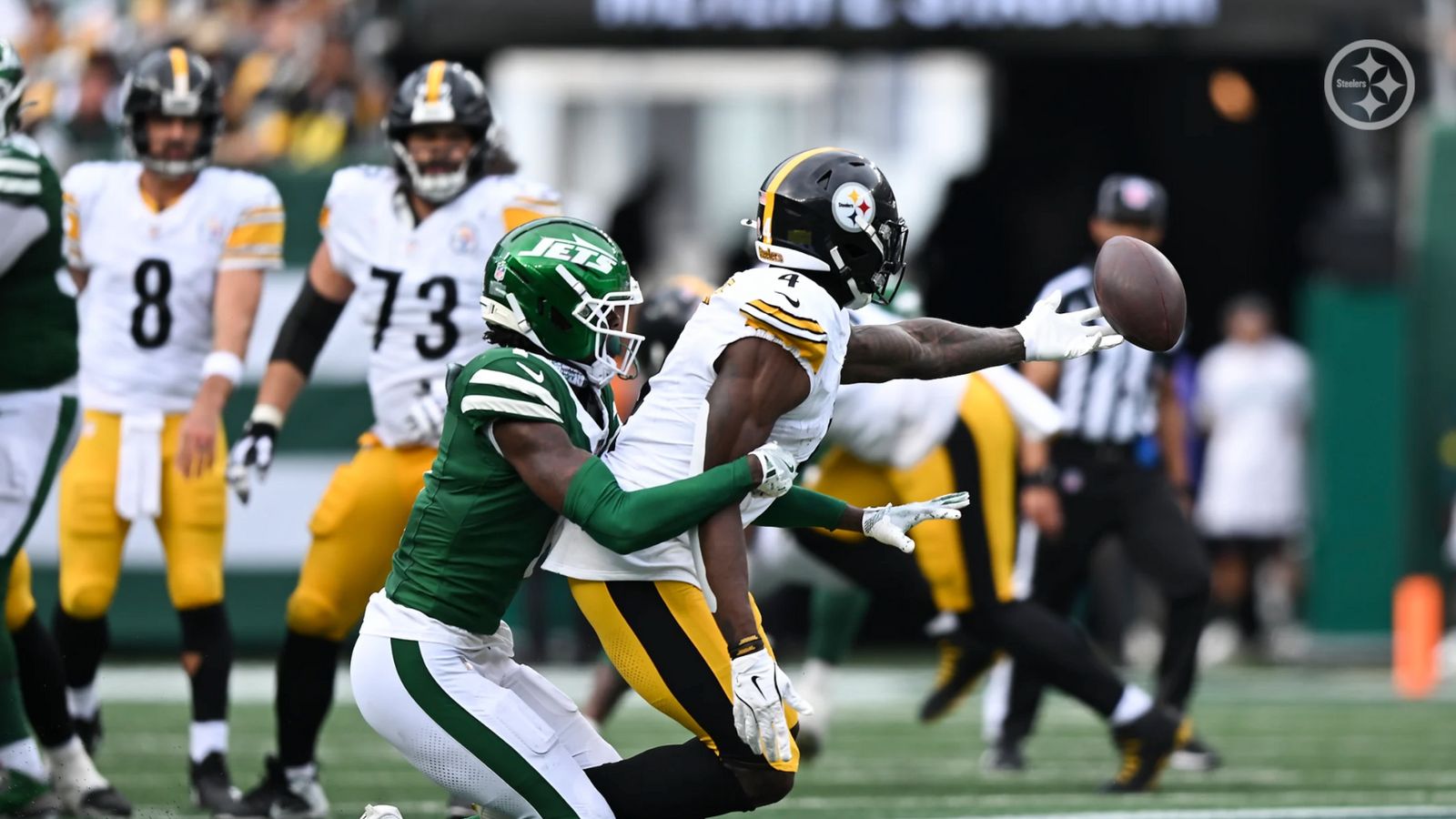 Steelers' DK Metcalf Makes Bold Proclamation About His Goals For The 2025 NFL Season (Steelers News). Photo by Karl Roser / Pittsburgh Steelers