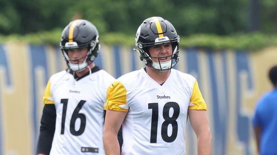84% Of Steelers Fans Agree On This Massive QB Decision (Steelers Fan Surveys)