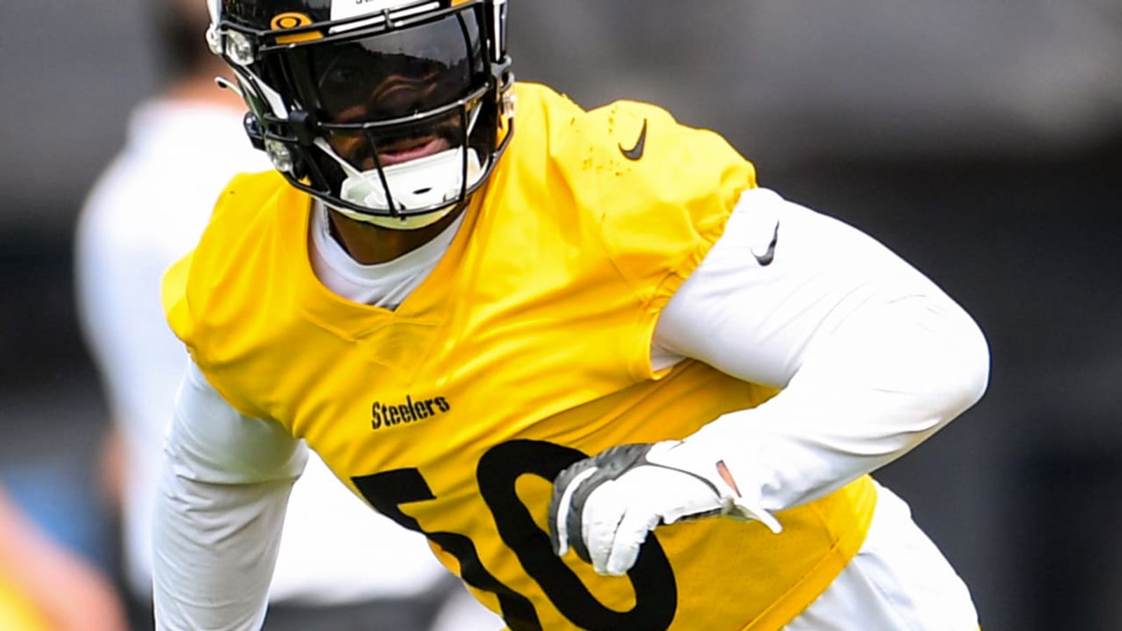 Steelers' New Linebacker Elandon Roberts Had Choice Words For