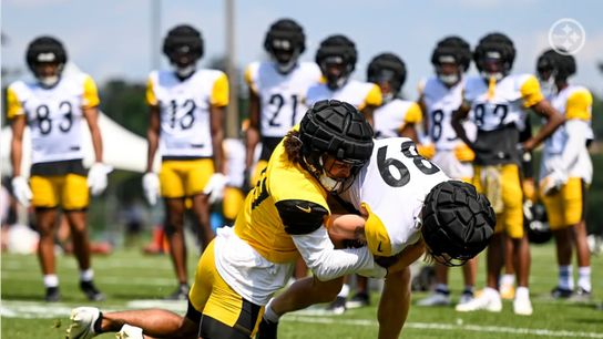 Steelers Elijah Riley Steelers Elijah Riley