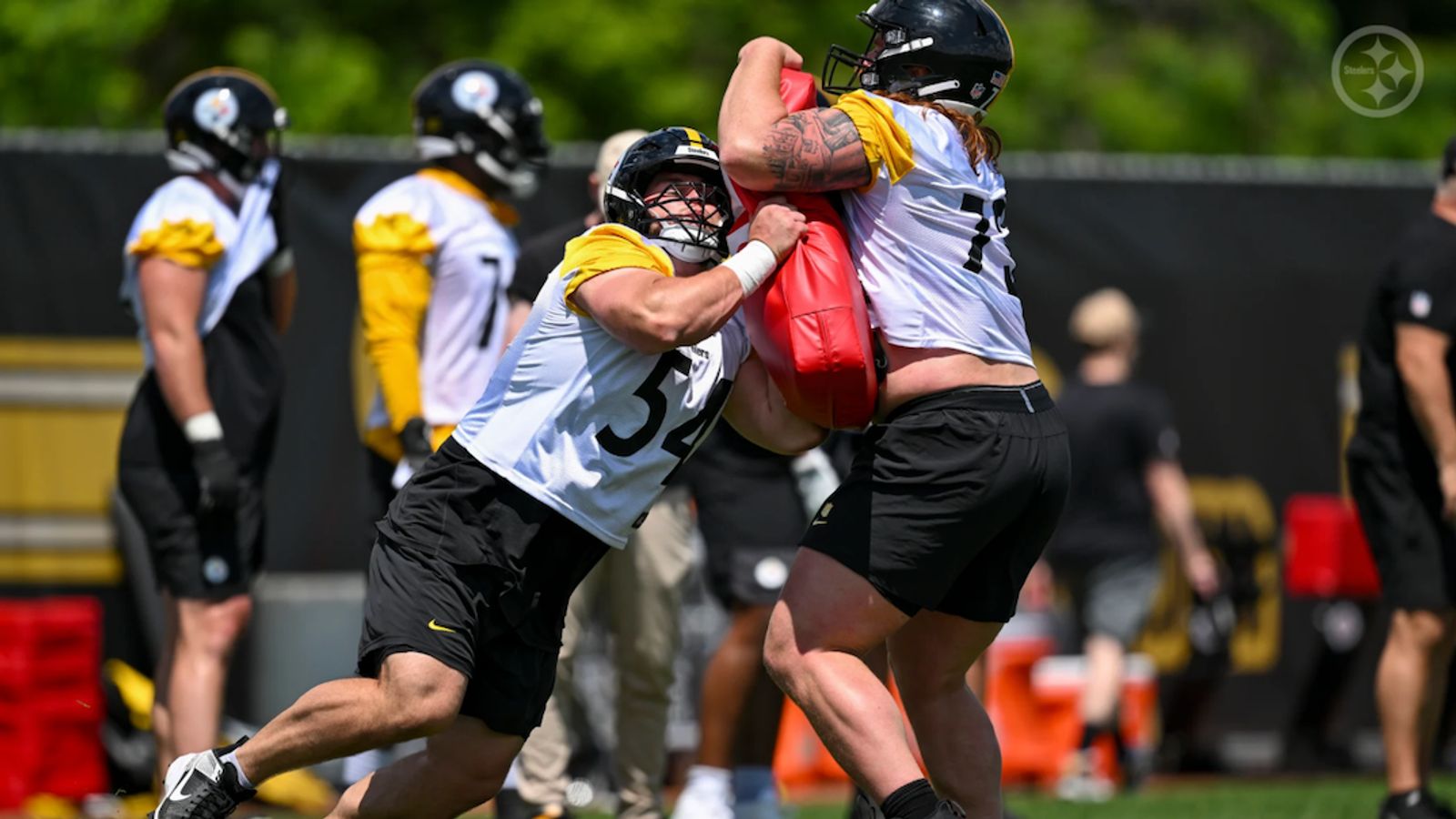 Steelers Find Out Great Information Regarding Their Offensive Line  (Steelers News). Photo by Karl Roser / Pittsburgh Steelers