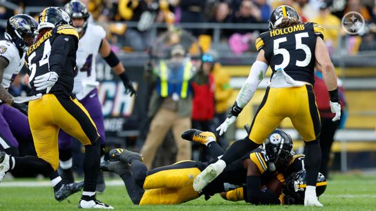 Steelers Larry Ogunjobi, Cole Holcomb and Kwon Alexander Steelers Larry Ogunjobi, Cole Holcomb and Kwon Alexander