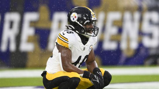 Steelers Godwin Igwebuike Steelers Godwin Igwebuike