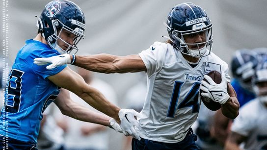 Steelers Bring In Exciting New Receiver For Fresh Start Among Other Training Camp Roster Moves (Steelers News)