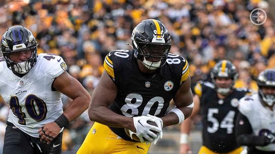 Steelers’ Darnell Washington Shared The Surprising Truth About A Possible Position Switch. Photo by Steelers.com