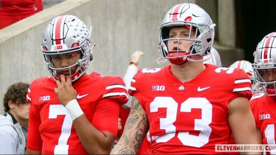 Steelers Have Inside Track To Put A Stop To Texans' Winning Streak Thanks To Rookie. Photo by ElevenWarriors.com