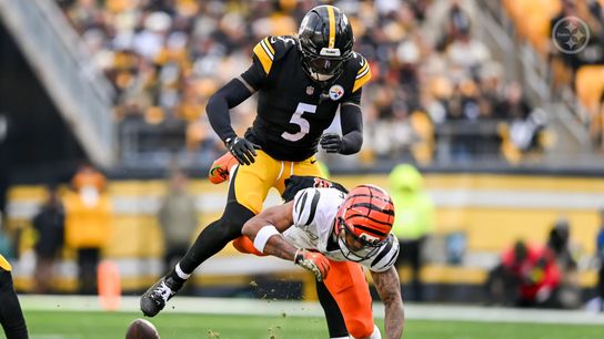 Bengals' Royalty Slams Ja'Marr Chase For Shameful Act Committed Against Steelers. Photo by Karl Roser / Pittsburgh Steelers