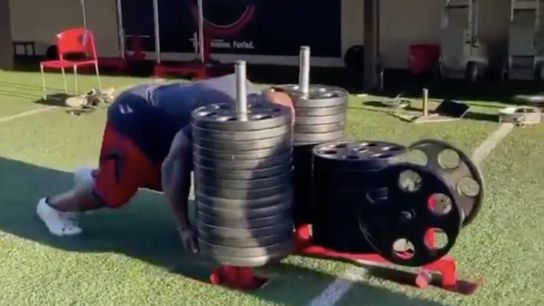 Steelers Great James Harrison Will Fight Bengals Chad "Ochocinco" Johnson Before Super Bowl (Steelers News)