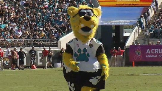 Steelers Jaxson De Ville Steelers Jaxson De Ville