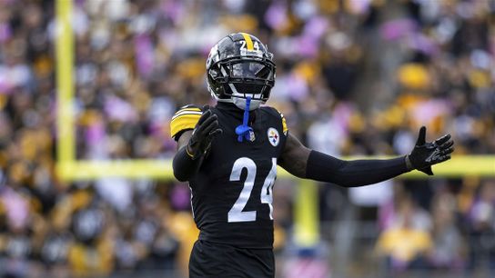 Legendary Steelers Safety Troy Polamalu Had A Very Key Part In Joey Porter Jr Ending Up In Pittsburgh (Steelers News)