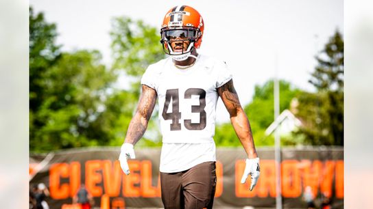 Browns' Safety, John Johnson III Steelers John Johnson III