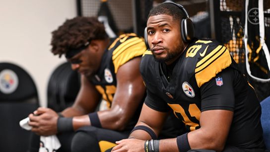 Steelers' Jonnu Smith Takes Direct Shot From Former Teammate On Social Media While Taking On The Dolphins. Photo by Karl Roser / Pittsburgh Steelers