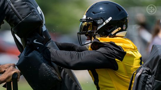 Steelers See Serious Doubts Emerging After Blockbuster Trade With The Dolphins. Photo by Taylor Ollason / Pittsburgh Steelers
