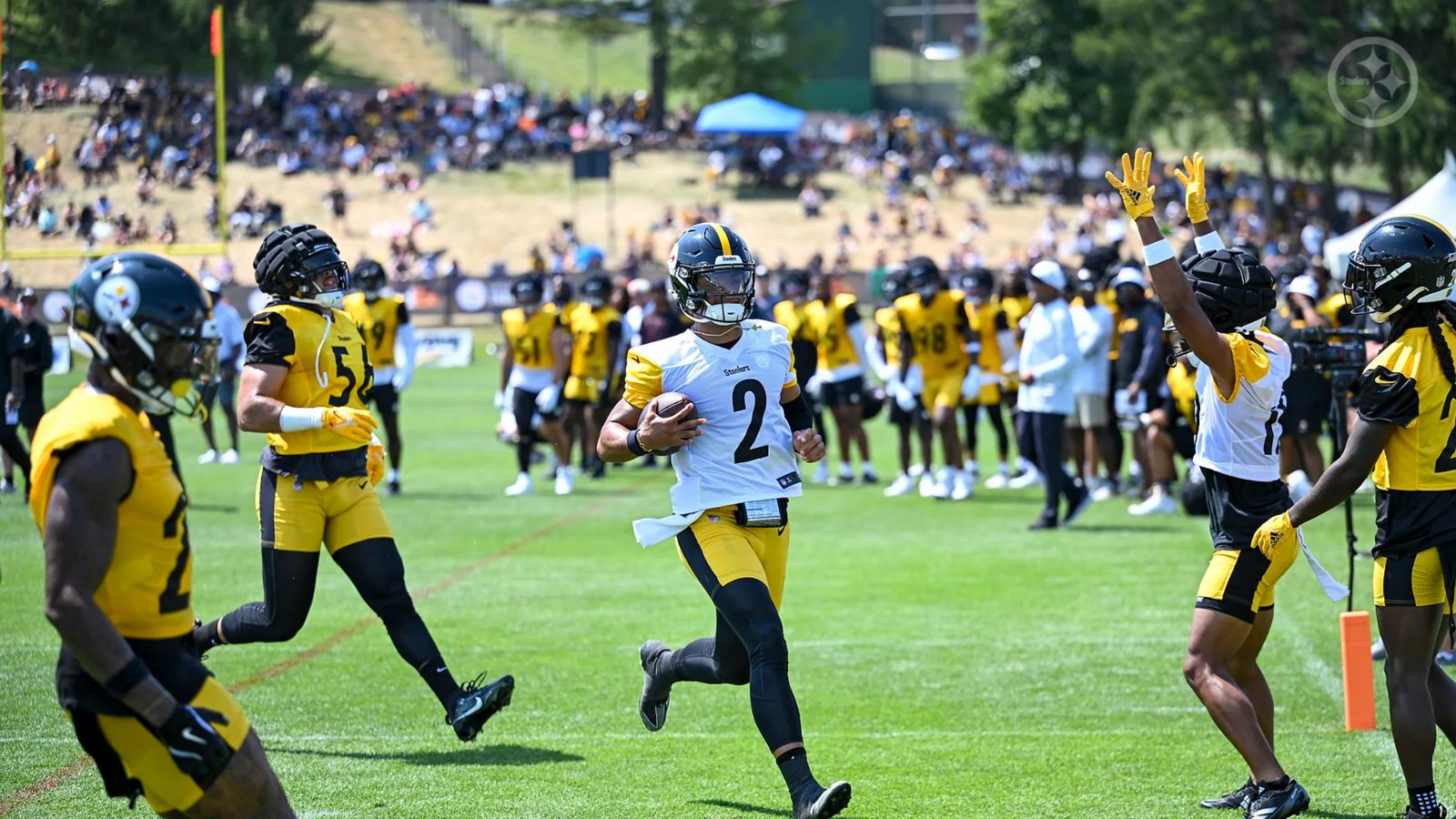 www.steelernation.com