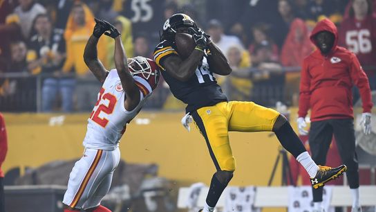 Steelers receiver Sammie Coates makes a catch against the Kansas City Chiefs during a regular season game in 2016. The Steelers won 43-14. Steelers Sammie Coates
