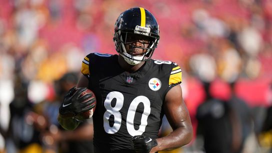 Steelers Darnell Washington Steelers Darnell Washington