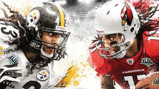 Steelers Troy Polamalu Larry Fitzgerald