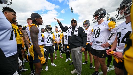 Former Ravens Defender Practically Begs The Steelers For The Chance To Sign In Pittsburgh. Photo by Karl Roser / Pittsburgh Steelers