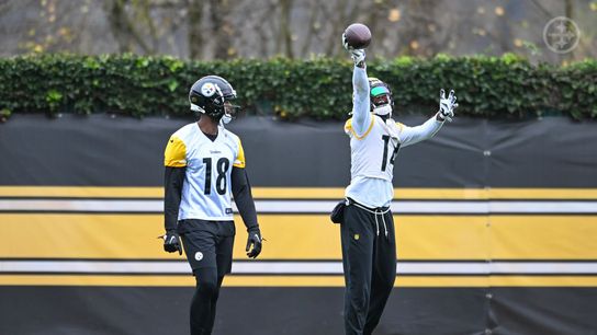 Steelers Fans Get Inspiring Response From Mike Tomlin When Asked About Mike Williams' Lack Of Involvement (Steelers News)