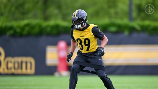 Well-Respected Analyst Makes Profound Point About The Steelers Moving On From Minkah Fitzpatrick. Photo by Karl Roser / Pittsburgh Steelers