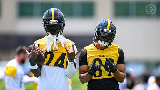 Steelers' Star Defender Poised For Legitimate Bounce-Back Season After Certain Key Offseason Changes (Steelers News)
