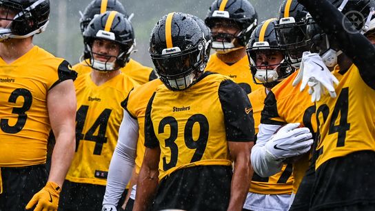 Steelers Fans Will Be Absolutely Stunned At How Long Minkah Fitzpatrick Has Been Shopped. Photo by James Dotter / Pittsburgh Steelers