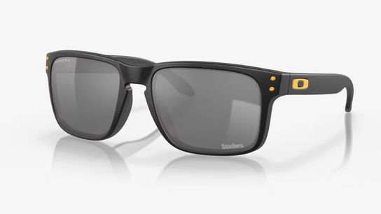 Steelers Sunglasses