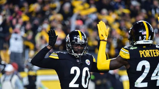 Steelers Patrick Peterson Steelers Patrick Peterson