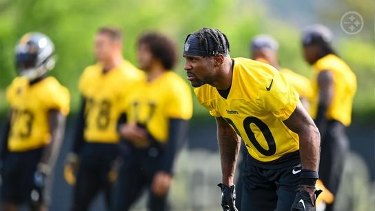 Steelers Patrick Peterson Steelers Patrick Peterson