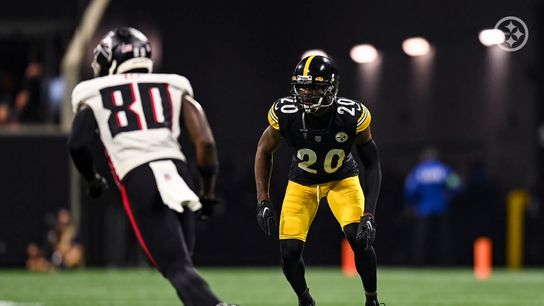Steelers Patrick Peterson Steelers Patrick Peterson