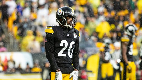Steelers Patrick Peterson Steelers Patrick Peterson