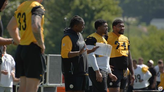 Steelers Just Received Fascinating Coaching Gift After The Panthers' Latest Decision (Steelers News)