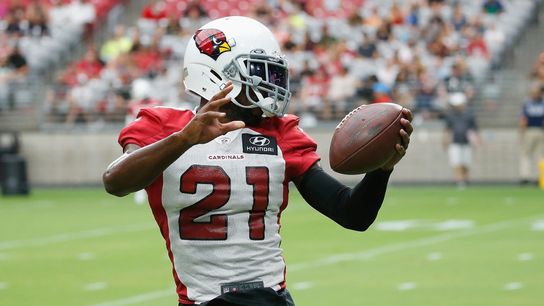 steelers patrick peterson steelers patrick peterson