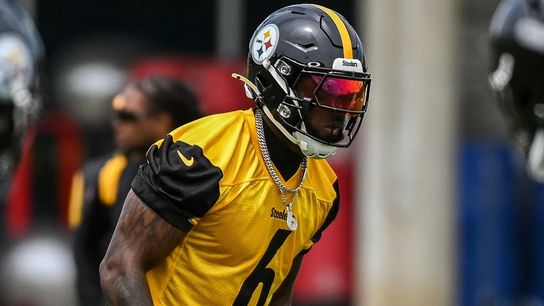 Steelers' Big Ticket Free Agent Signing Patrick Queen Will Wear The Green Dot (Steelers News)